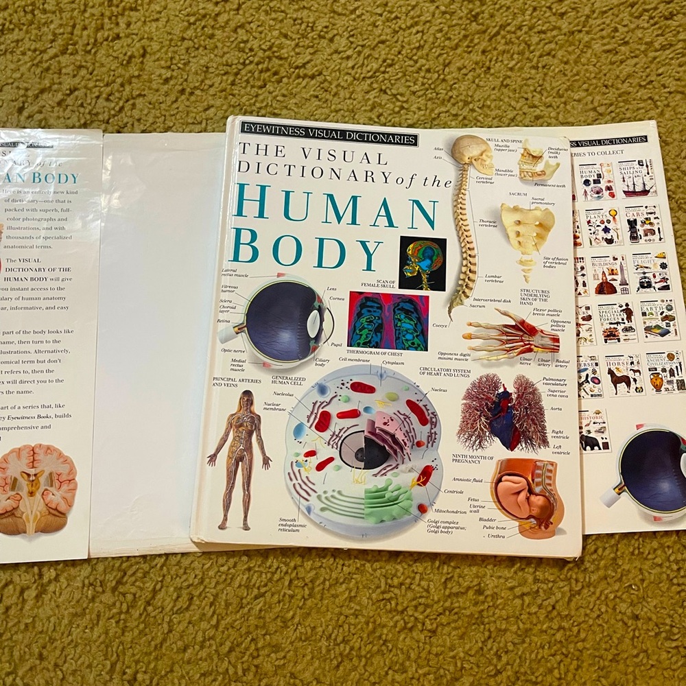 EYEWITNESS VISUAL DICTIONARIES – The Visual Dictionary of the Human Body